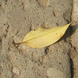 老师浴室喂我奶乳脱她胸罩视频
